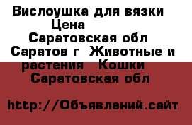 Вислоушка для вязки › Цена ­ 1 300 - Саратовская обл., Саратов г. Животные и растения » Кошки   . Саратовская обл.